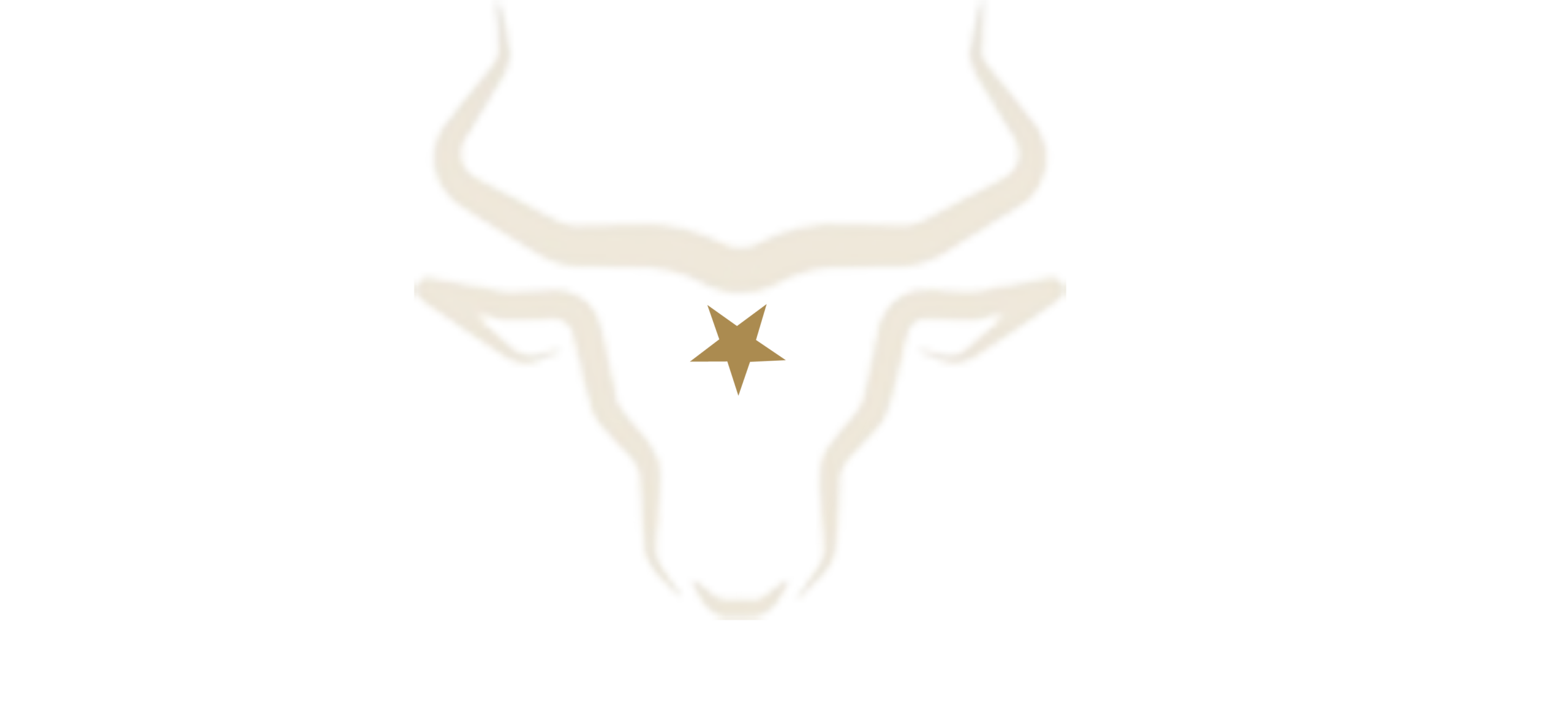 ATX Stay Company